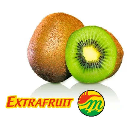 Kiwi Hayward | #23's | Extrafruit® | Italia  | GRL