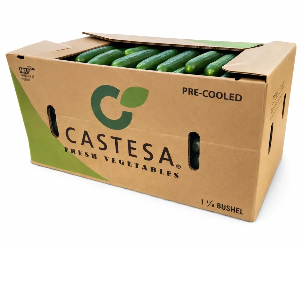 Pepino Americano | Castesa® | Sinaloa | C-CTN ±24Kg                                                                         