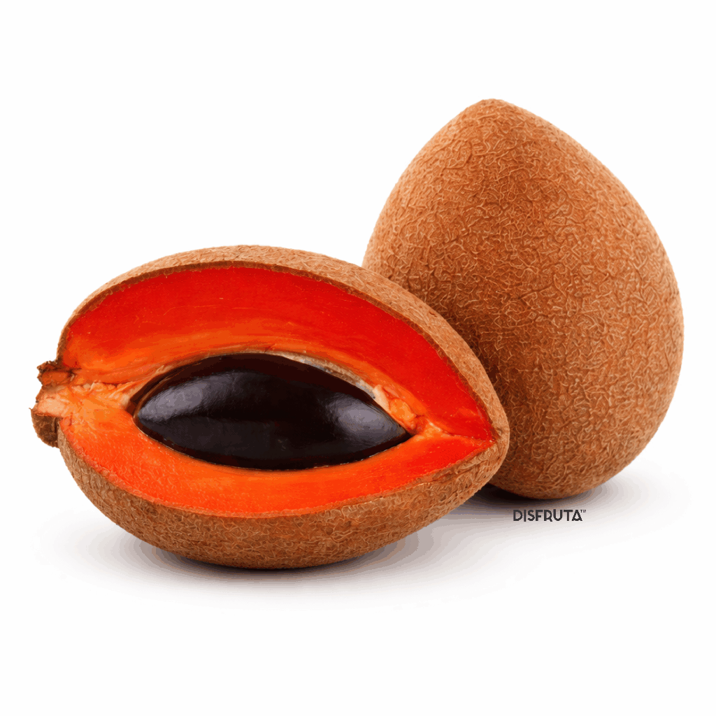 Mamey Sapote | CAT 1 #6 | Yucatán | GRL