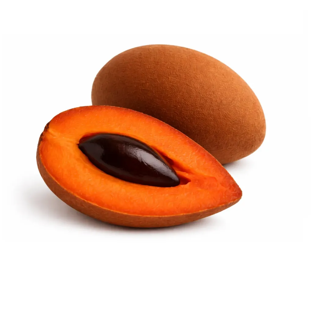 Mamey Zapote | Chiapas | GRL                                                                                