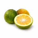 Bitter Orange | Citrus × aurantium | Guanjuato | BLK