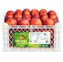 Red Diamond Nectarines | #60's | Greenex® | Chile | PLS-CT ±9KG