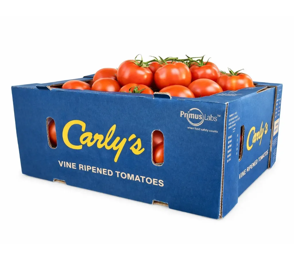 Tomate Bola | Carly´s | Guanajuato | 4x5 | C-CTN ±16KG
