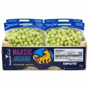 Uva Ivory | SH-21 | #J | Majestic Jaguar® | California | C-MDR±7.3KG