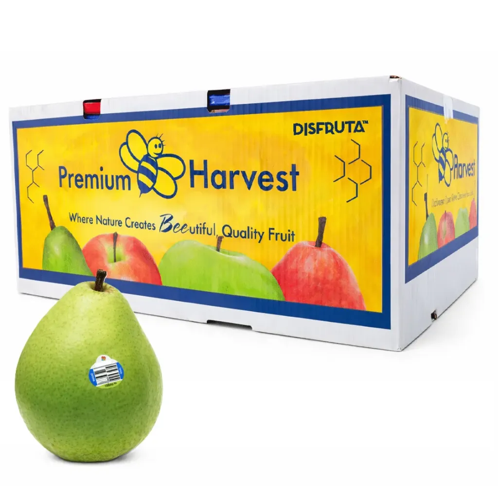 d'Anjou Green Pear | Premium Harvest® | #70'S |  Washington | C-CTN ±20kg