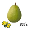 D'Anjou Green Pear | Premium Harvest® | #70'S |  Washington | BLK