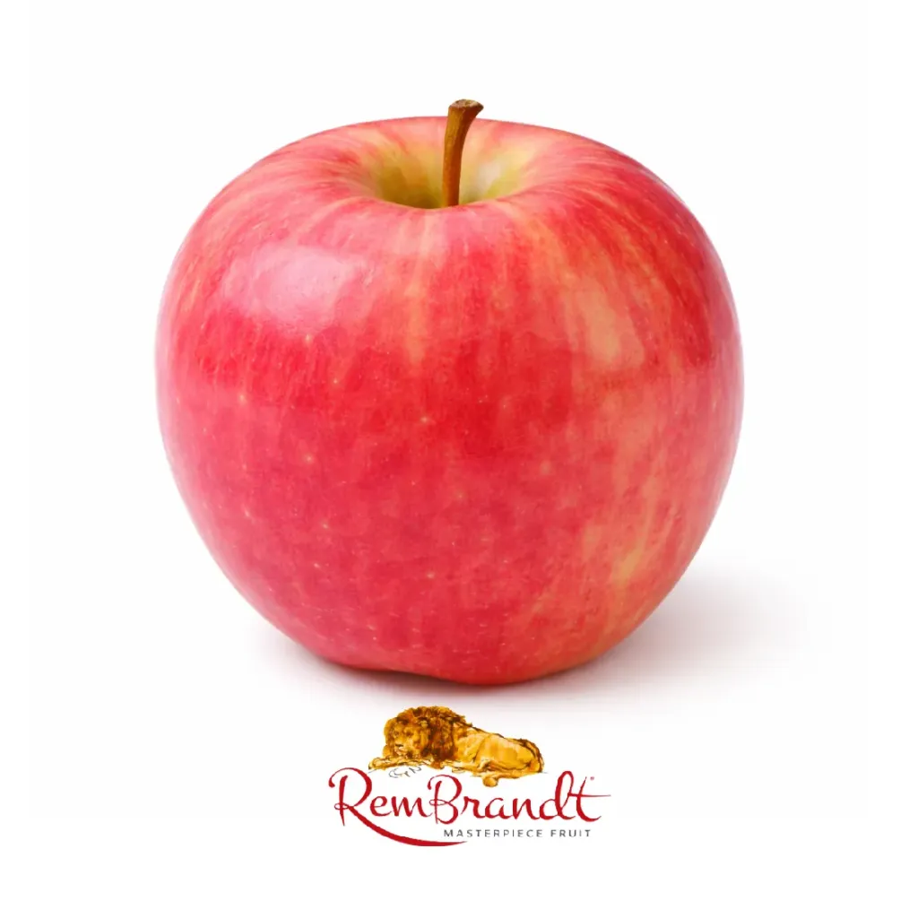 Manzana Cripps Pink  | #100's | RemBrandt® | Washington | GRL