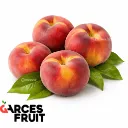 Durazno Zee Lady | C #48 | Garces Fruit® | Chile | GRL