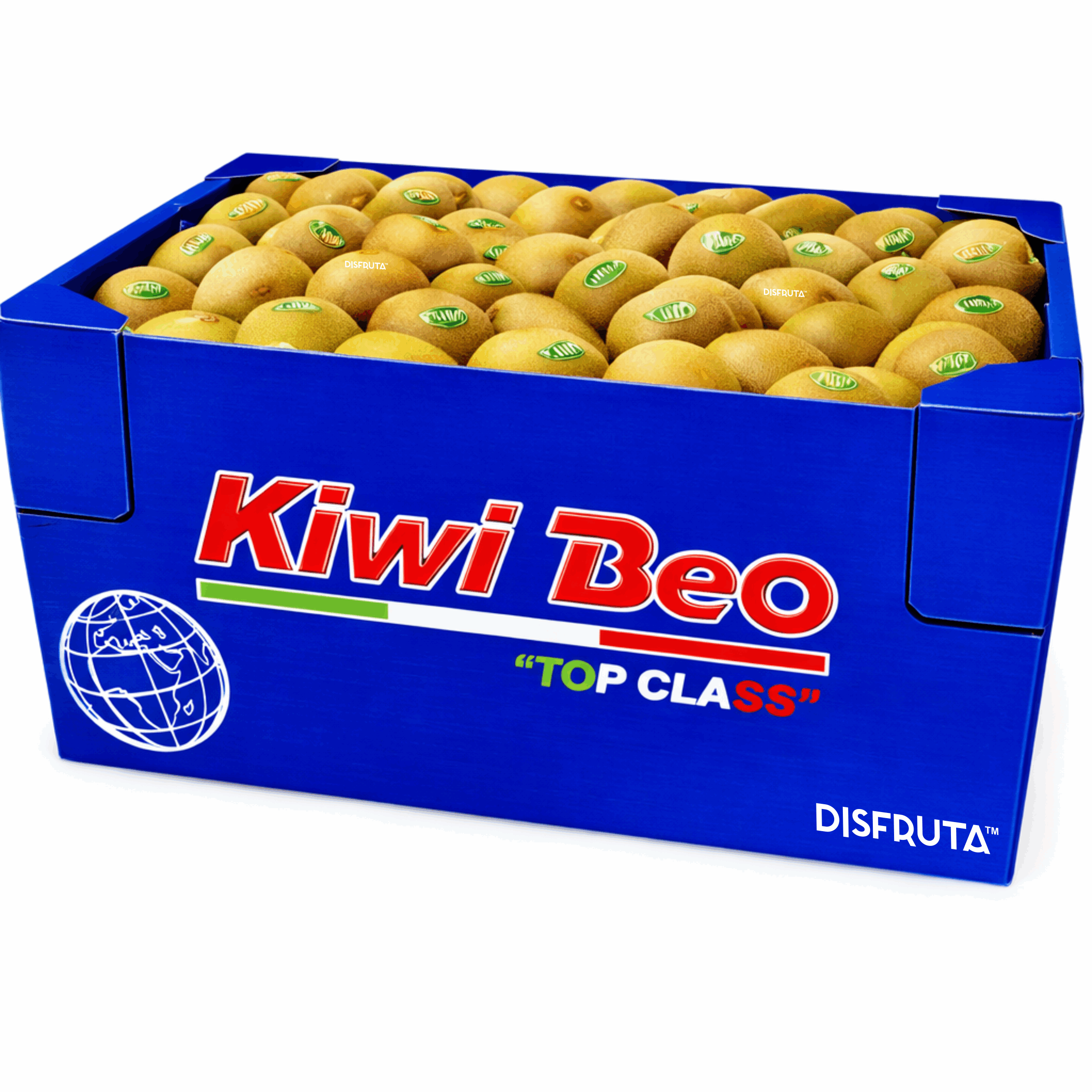 Hayward Kiwi  | #25's | Kiwi Beo® | Italia | C-CTN ±9Kg