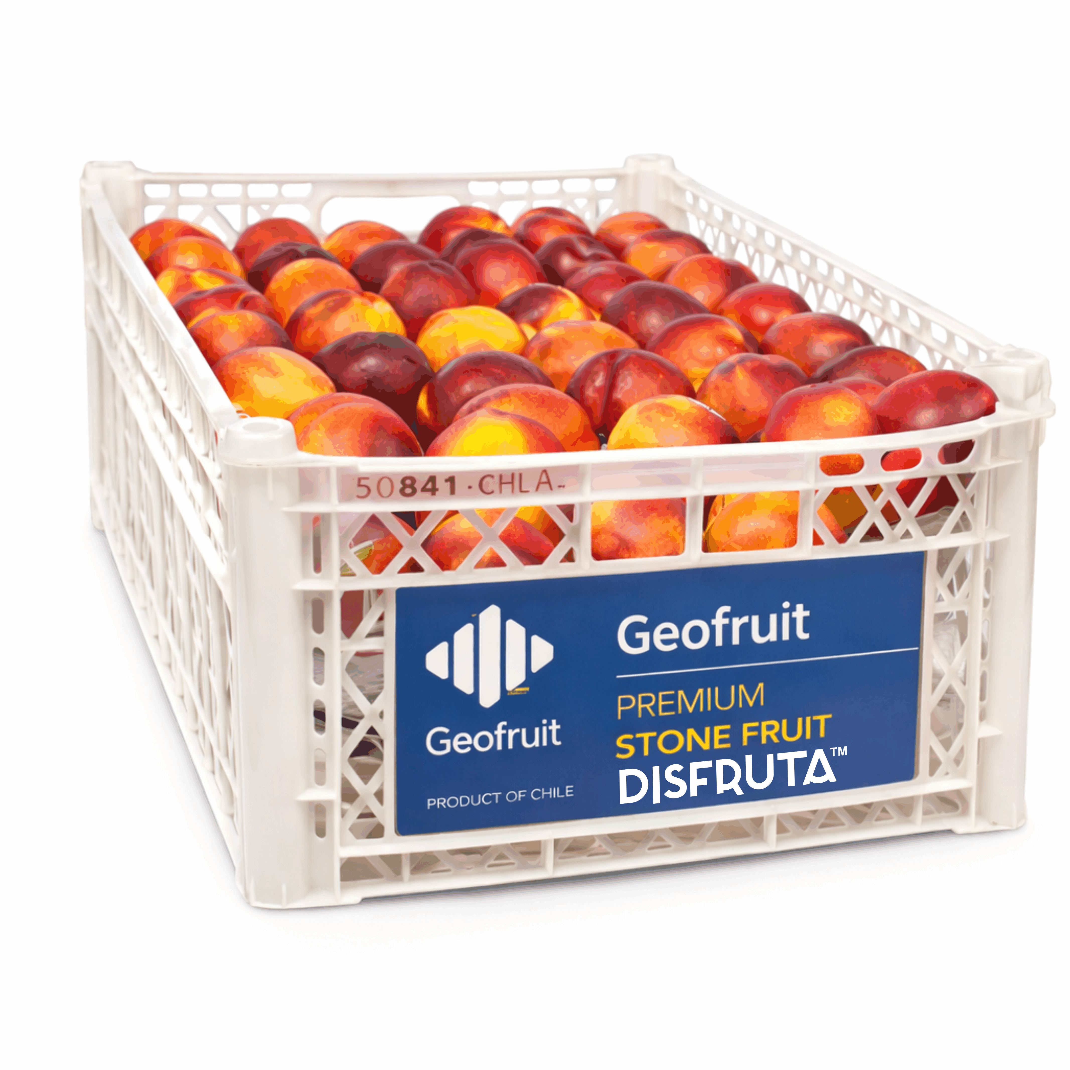 Andesnecuno Nectarin | Yellow Flesh | #52's | Geofrut® | Chile | PLS-BX ±9KG