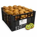Kiwi Hayward | #25's | Top Fresh® | Italia | C-PLS ±10Kg