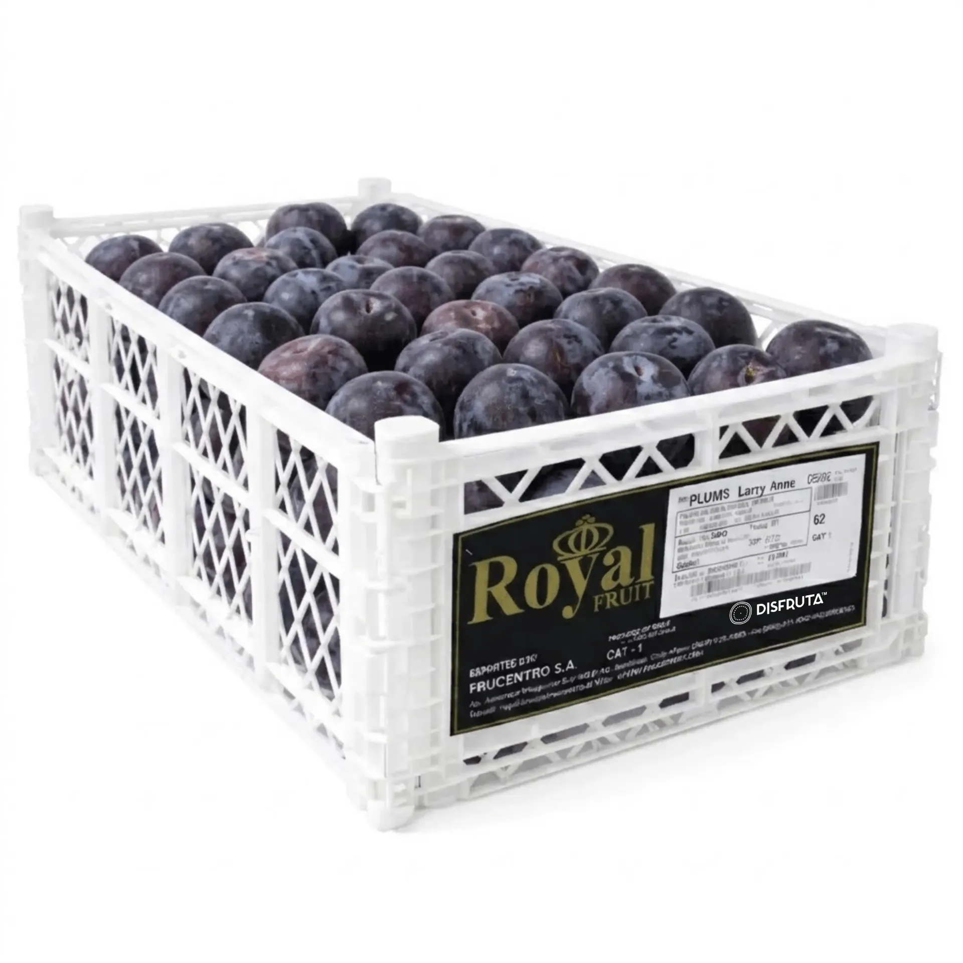 Ciruela Angeleno | C #52 | Royal Fruit® | Chile | C-PLS ±9Kg