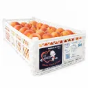 Zee Lady Peaches | Yellow Flesh | C #44 | San Alberto® | Chile | PLS BX ±9Kg