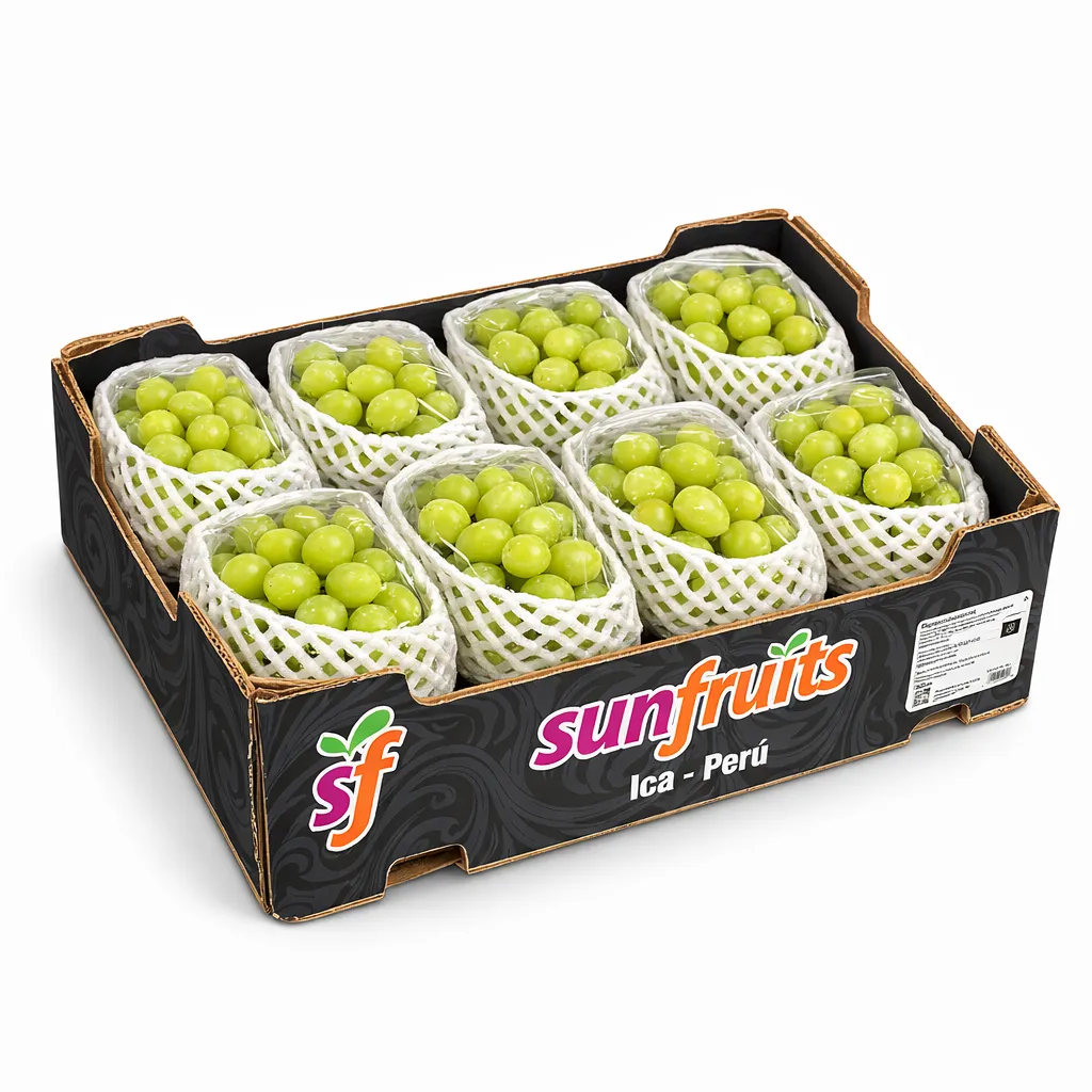 Muscat Grapes | Vitis vinifera | #3J | Peru | CTN-BX ±5KG – 11.02 lb