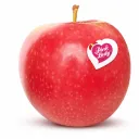 Pink Lady ® Apple  | AAA | C #88's HP | Superfresh Growers® | Washington | BLK