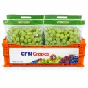 Uva Sweet Globe™ | IFG TEN | #J | CFN Grapes® | Chile | C-PLS ±8.2KG