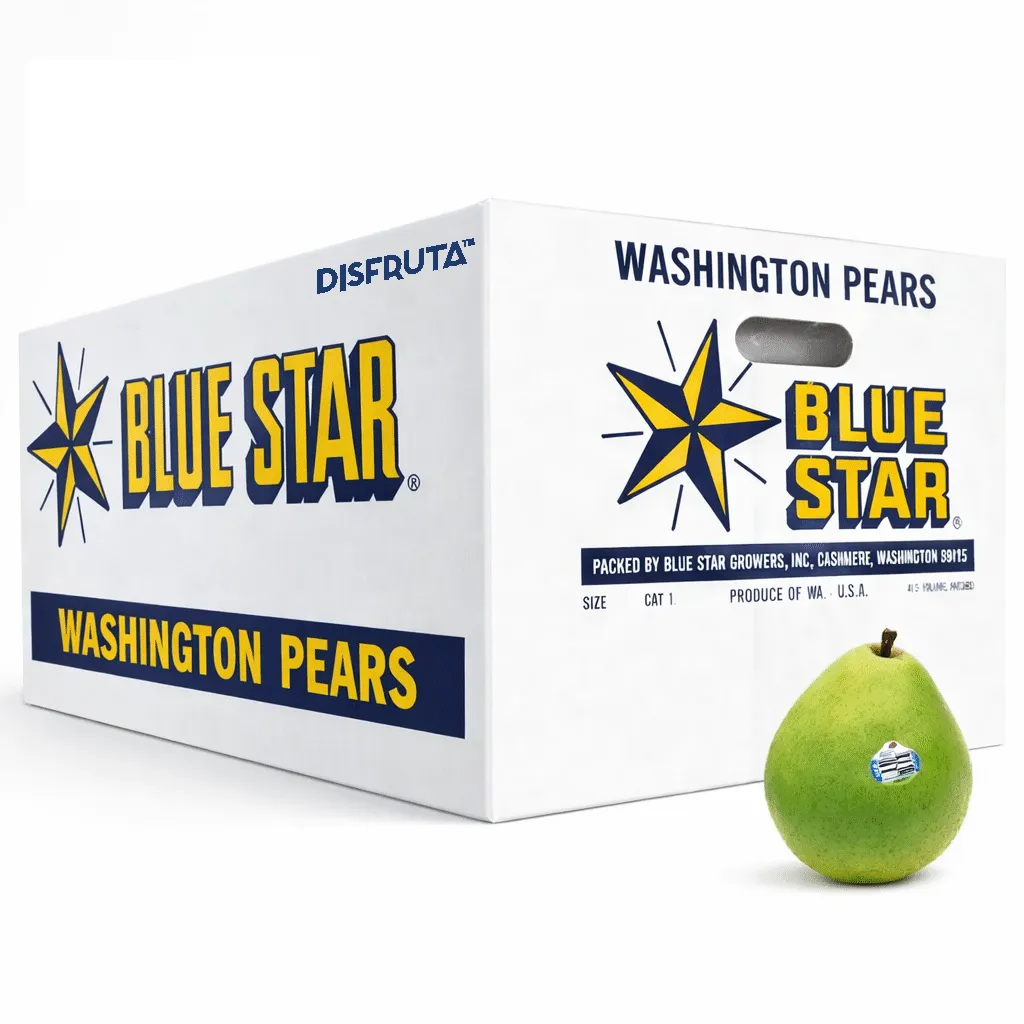 d'Anjou Green Pear | #90's | Blue Star® | Washington | CTN-BX ±20KG