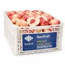 Nectarina Tifany | White Flesh | C #32's | Geofrut® | Chile | C-PLS ±9KG