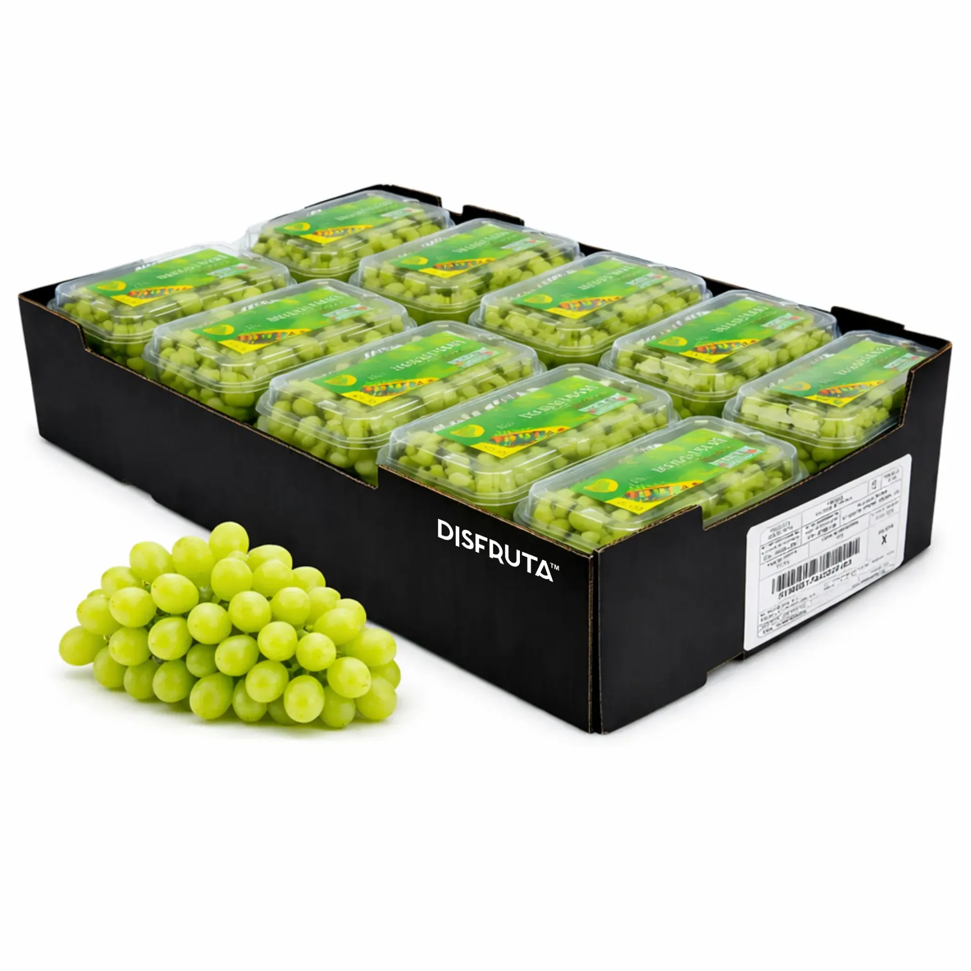 Uva Autumn King | Suniland® | California | 10 Clamshells |  C-CTN ±9kg - 20lb                                                    