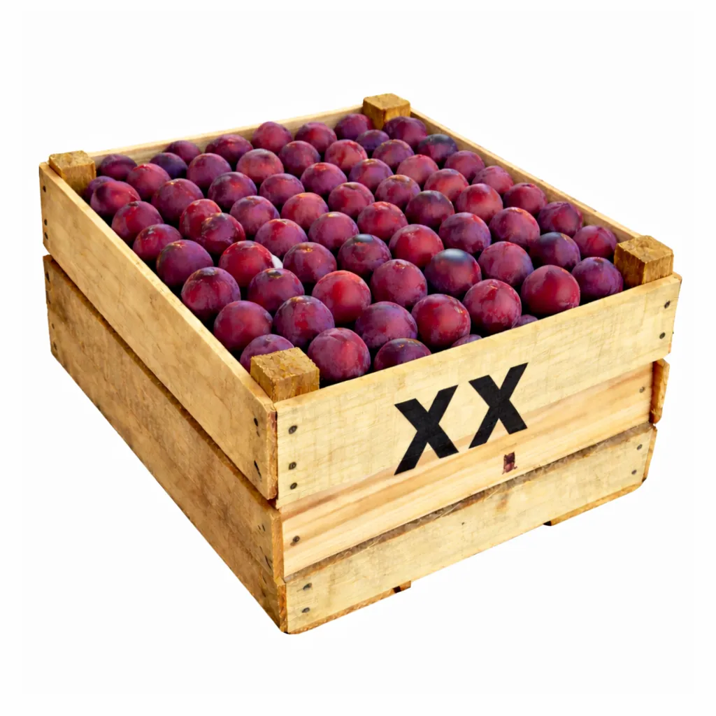 Ciruela Moscatel | # XX | Michoacán | C-MDR ±9Kg