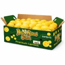 Limón Eureka | Bee Sweet Citrus® | C #115's | California | C-CTN ±16Kg