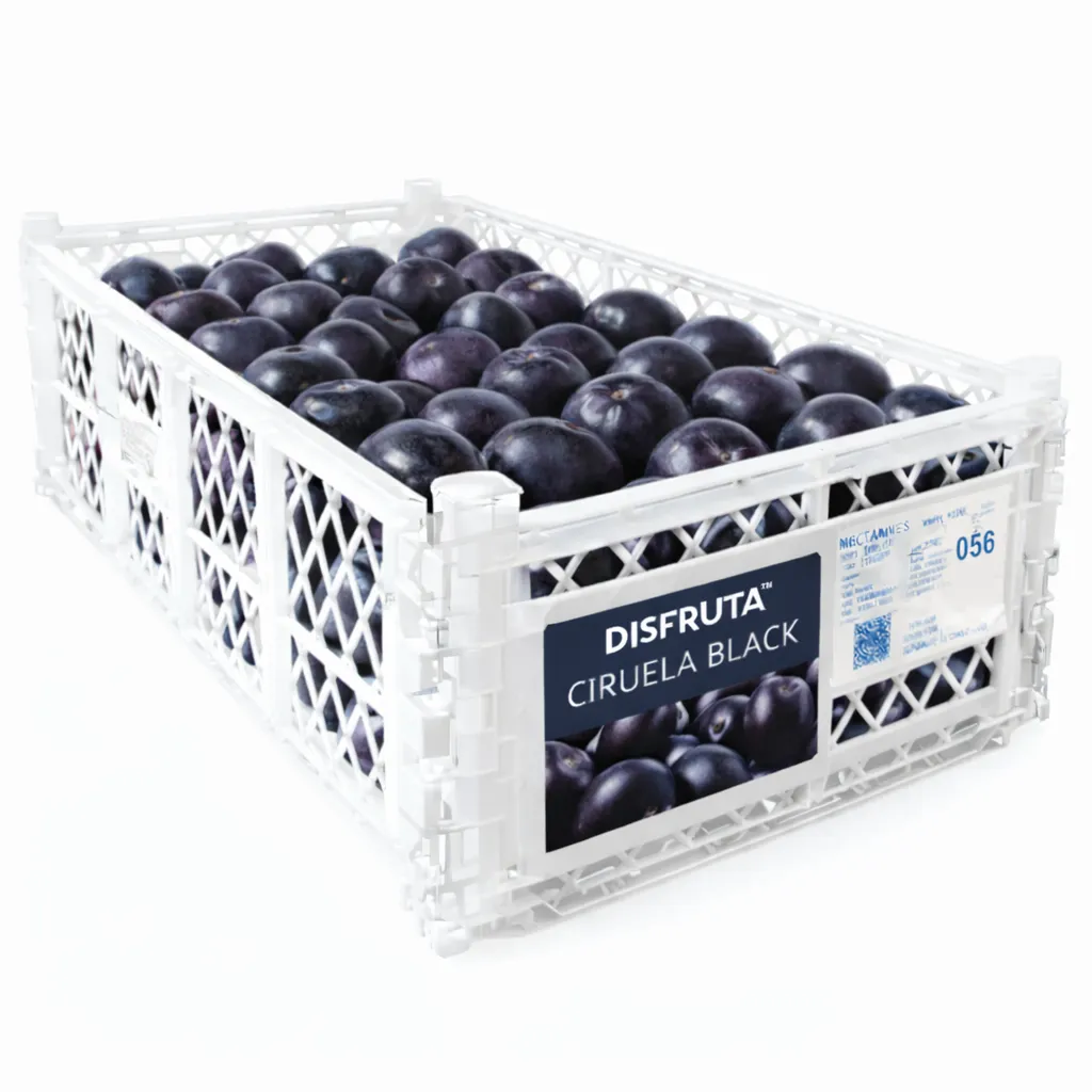 White Flesh Nectarines | #36's | Viconto® | Chile | PLS-BX 9Kg