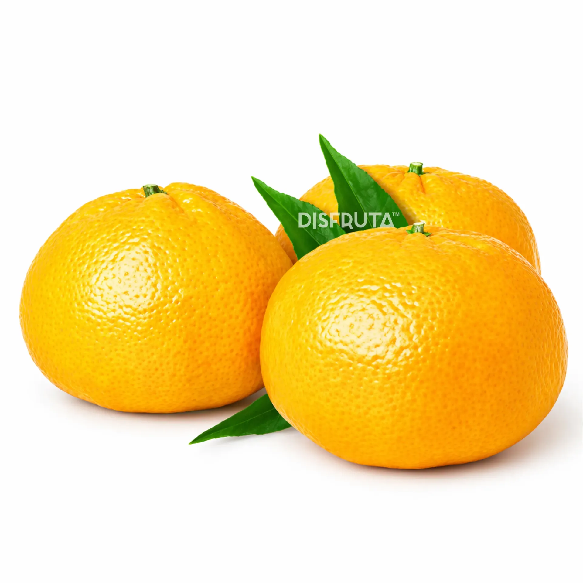 Mandarina Primosole | CAT 1 X #70's | Brixi® | Perú | GRL