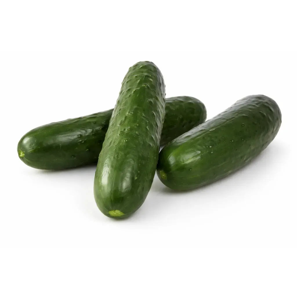 Pepino Americano | P.Inv. | Guanajuato   | GRL                                                                               