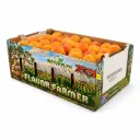 Chabacano Honey Gold | CAT 1 | Kingsburg Orchards ® | California | C-CTN  8Kg