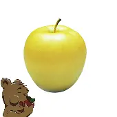 Manzana Golden Delicious | C #88's | HoneyBear® | Washington | GRL