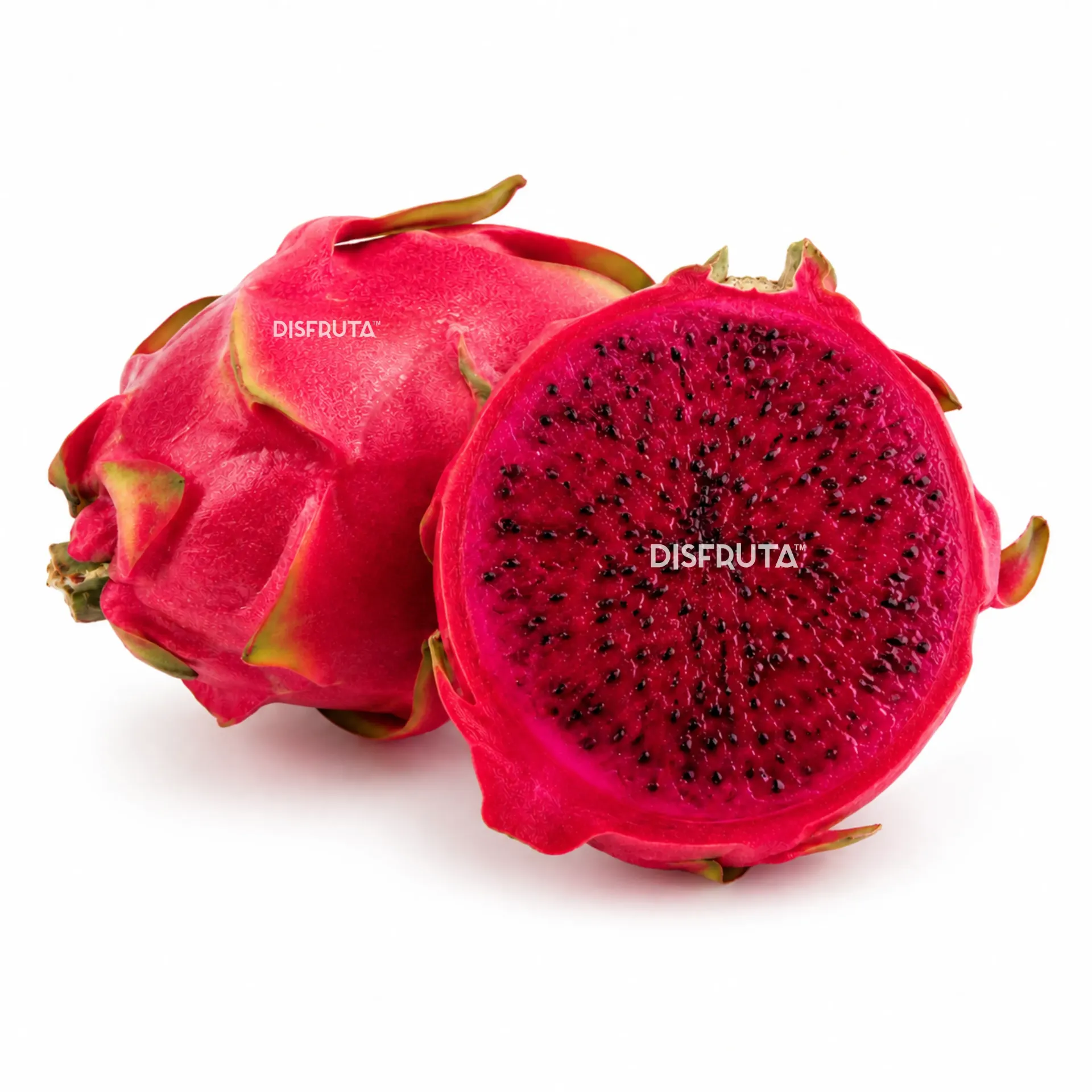 Dragon Fruit |  # M | Red Flesh | Guanajuato | BLK