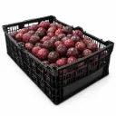 Ciruela Santa Rosa | #G | Zacatecas | C-PLS ±10Kg
