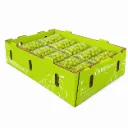 Uva Arra 33 | Rio Blanco®| Sonora | C-CTN ±9KG - 19lb