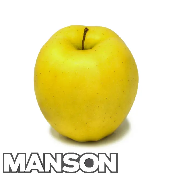Golden Delicious Apple | C #80's | Manson ® | Washington | BLK