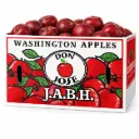 Manzana Red Delicious | C #100's | Don José® | Washington | C-CTN ±20KG