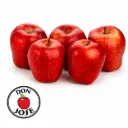 Manzana Red Delicious | C #100's | Don José ® | Washington | GRL