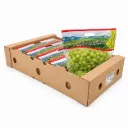 Uva Early Sweet | Videxport®| Sonora | C-CTN ±9KG - 19lb