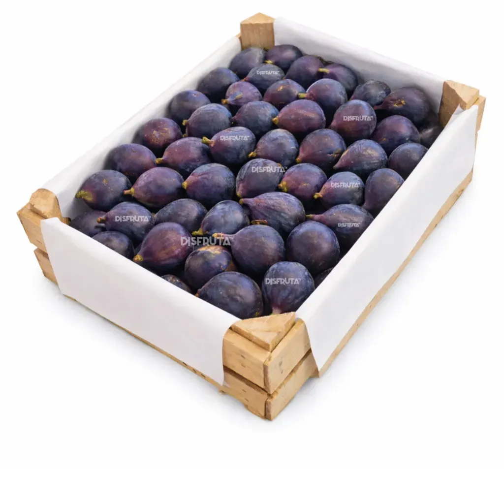Black Mission Figs | CAT 1 | Hidalgo | WDN-BX±14KG