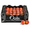 Durazno Tropic Beauty | C #64's | Oasis®| Sonora | C-CTN ±8.16kg 