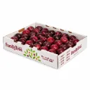 Sangria Plumcot | C #52/72 | Family Tree Farms® | California | CRB-TRAY ±5.5Kg