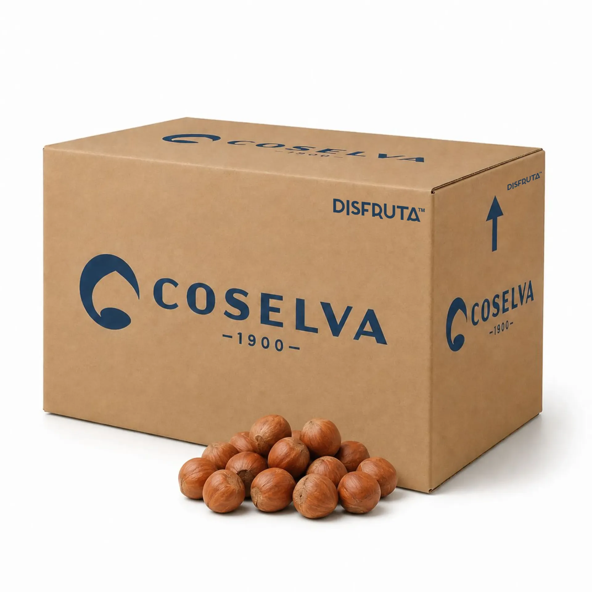 Catalonia Hazelnut | Shelled WS # 11-13  CAT 1 DOP  | Coselva ® | España | CRB-BX 10Kg