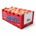 Durazno Blanco Snow Fox | C #64's | Crystal®| California | C-CTN ±11.34kg - 25lb