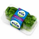 Lechuga Hidrpónica Francesa | Mini | Eva® | Clamshell 2U