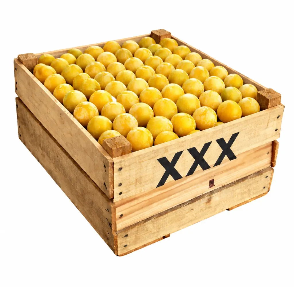 Golden Japan Plums | # XXX |  Michocán | C-MDR±9KG