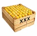 Golden Japan Plums | # XXX |  Michocán | C-MDR±9KG