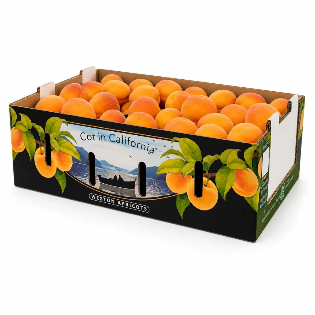 Weston Apricot | CAT 1 | Del Río ® | California | CRB-BX 17.67 Lb