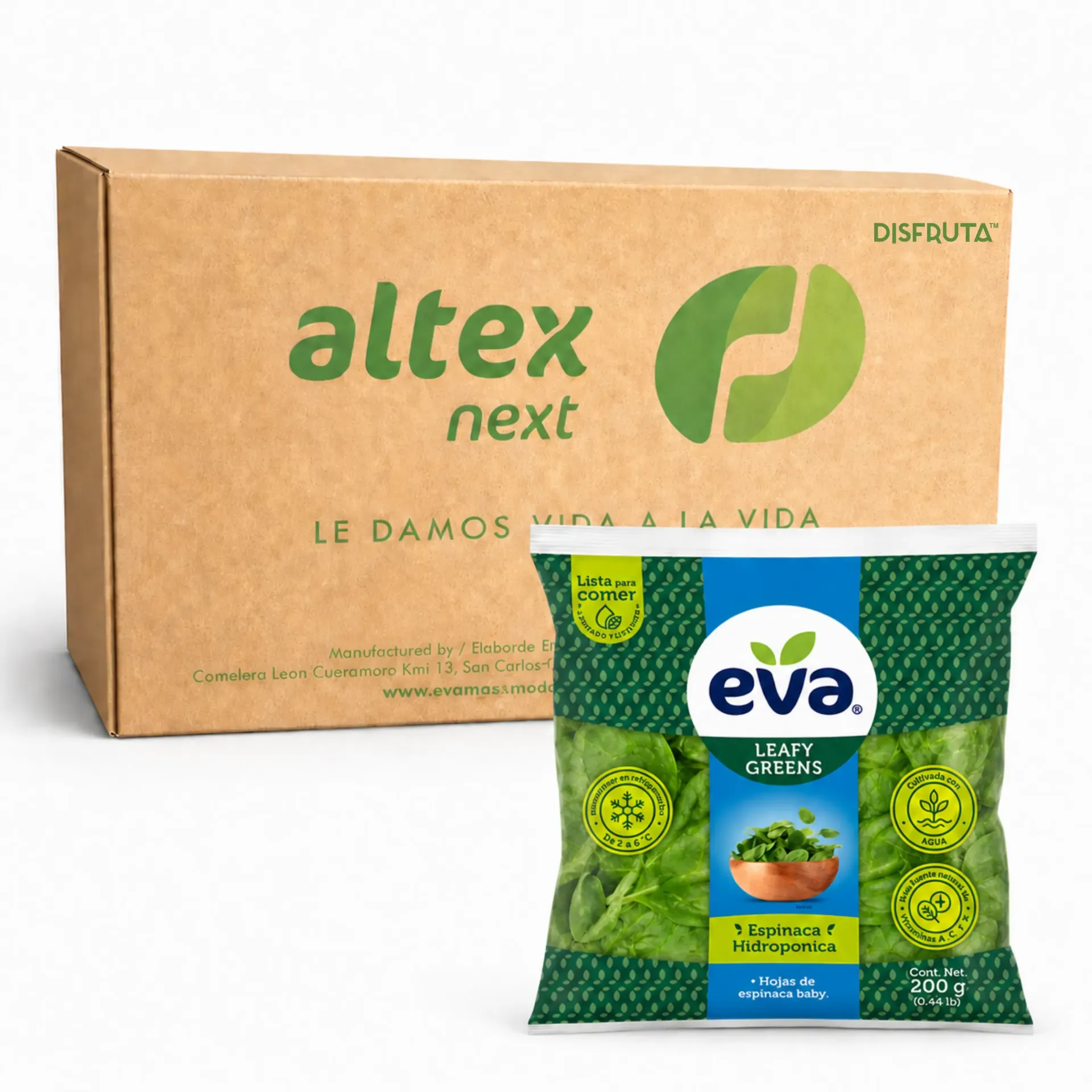 Hydroponic Spinach | Eva® | CRB-BX 12 Pack 200Gr                                                                    