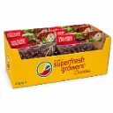 Chelan Cherries | WA #1 | Superfresh Growers® | California | C-CTN ±8.2KG (18LB) | 8/2LB Bagged