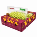 Uva Verde | CAT 2 | VIVA® | Sonora | C-CTN ±8.2KG