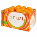 Tango Mandarin  | CAT #1 2X | Citrust® | Peru | CTN-BX 11.1Lb-10Kg